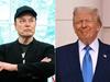 Bromance over: Why Trump and Musk turned on each other