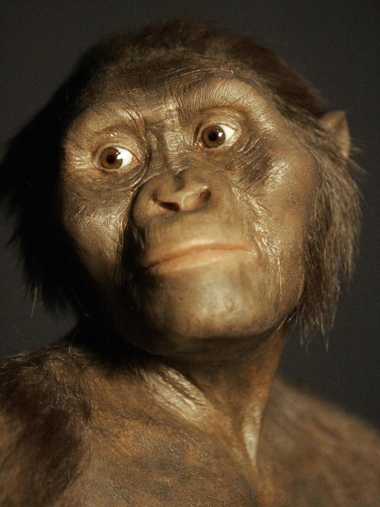 A three-dimensional model of the 3.2 million-year-old hominid known as Lucy is unveiled at the Houston Museum of Natural Science Tuesday, Aug. 14, 2007. The sculpture, showing a scientific estimation of what Lucy may have looked like in life, is part of an exhibition featuring the original fossilized remains of the oldest and most complete adult human ancestor from Africa. Houston is the first stop on an American tour for the famous fossil. The exhibition will open Aug. 31. (AP Photo/Pat Sullivan)