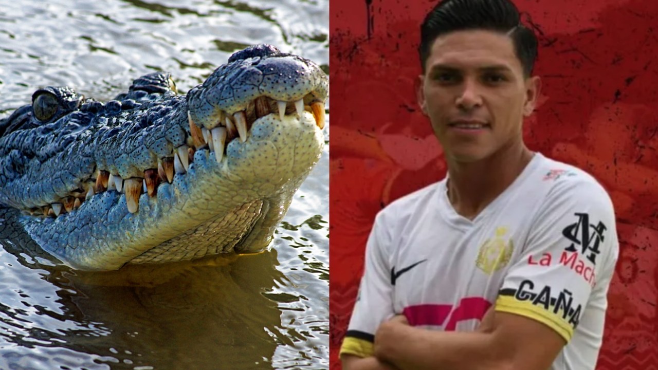 Authorities seize three crocodiles from ex-baseball player José Rijo