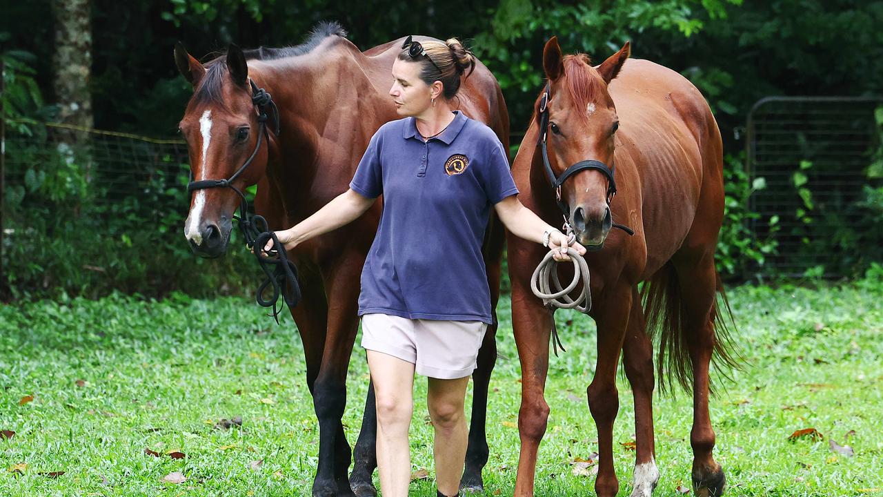 Lara Baker rehomes ex-racehorses for Kuranda therapy program | The Cairns  Post