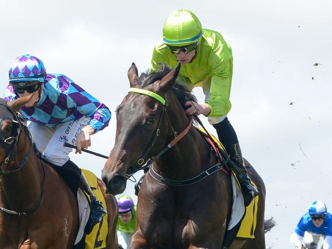 Too Darn Discreet ridden by Michael Dee wins the Schweppes Ethereal Stakes at Caulfield Racecourse on October 19, 2024 in Caulfield, Australia. (Photo by Reg Ryan/Racing Photos via Getty Images)