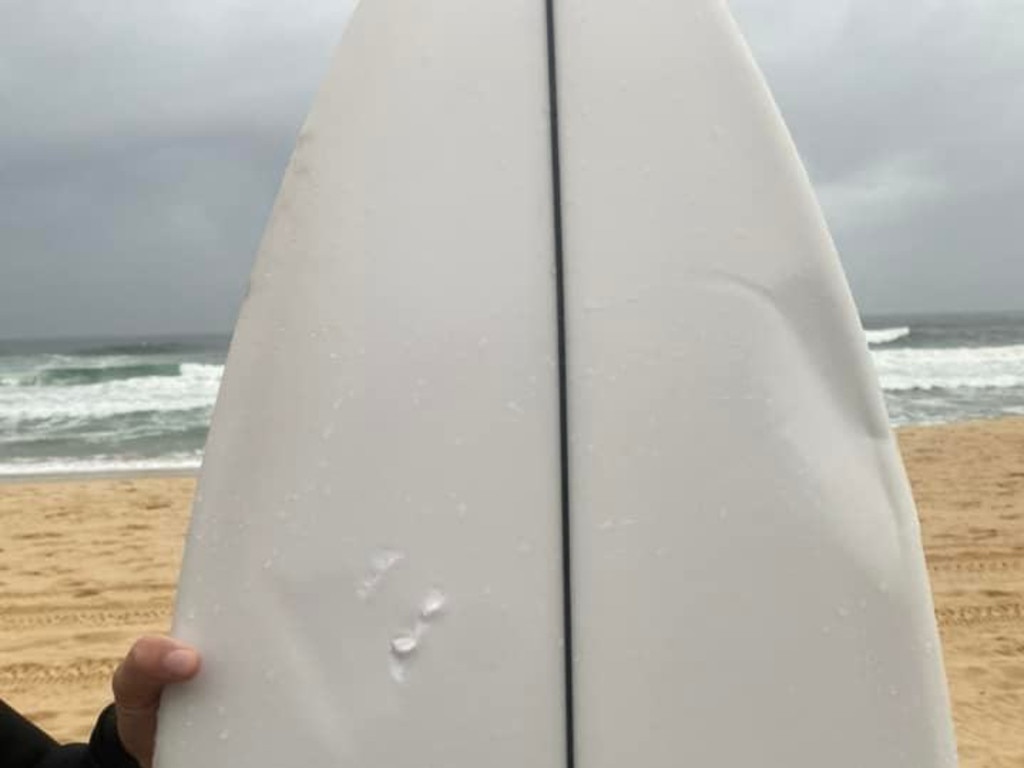 A surfer reported his surfboard was dented after a shark bit into it on March 8. Picture: Facebook