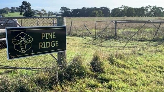 Pine Ridge Campground in Yahl, near Mount, Gambier, is seeking to expand and build camping sites and cabins complete with decks and verandas. Picture: Hipcamp