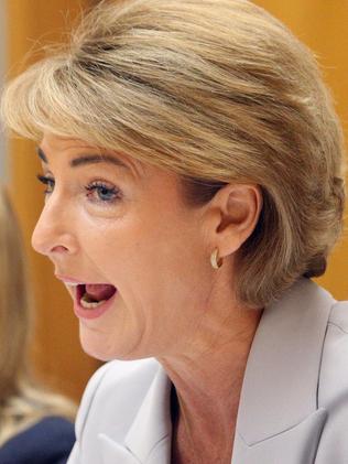 Senator Michaelia Cash says she doesn’t like to call herself a feminist.