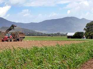 Growers are due to take back control of Mossman Mill. Picture: Cairns Post