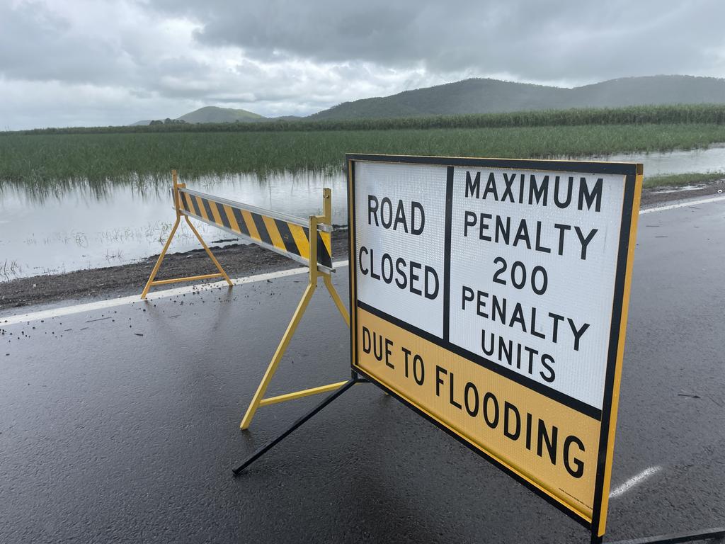 Sugarcane inundated by Haughton River floodwaters in the Burdekin