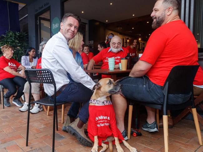 Every man and his dogs: Minns catches up with Labor supporters in Oatley. Picture: NCA NewsWire / David Swift