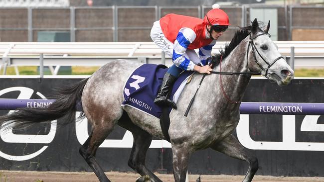 Berkshire Breeze in full flight at Flemington. Picture: Picture: Brett Holburt/Racing Photos via Getty Images