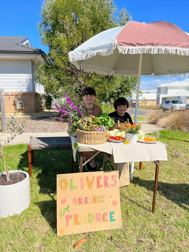 Oliver, 8, with brother Hugo, 5, at his vegetable garden. Picture: Supplied