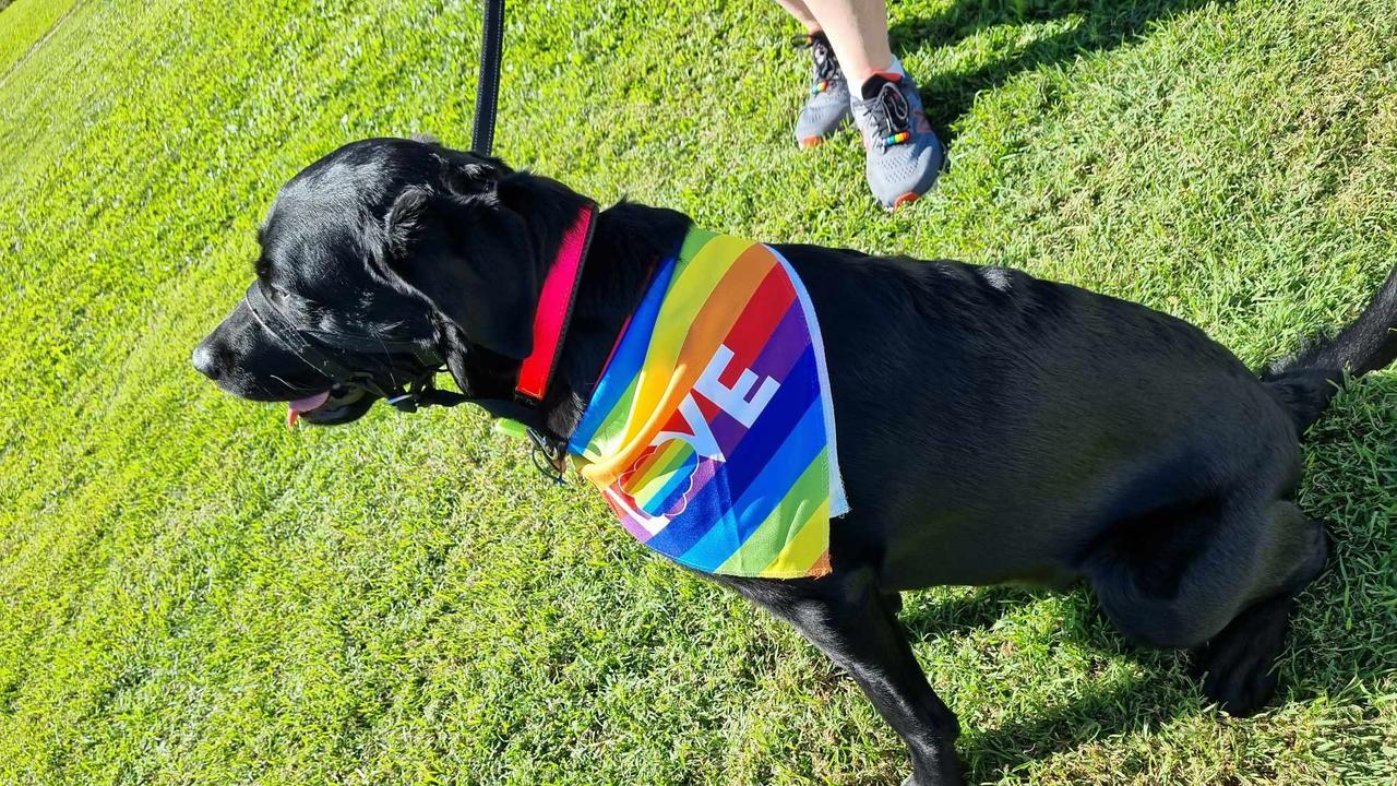 Rainbow on the Reef pride festival in Gladstone. Picture: Rainbow on the Reef team