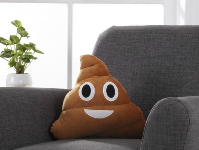 Poop emoji sale pillow kmart