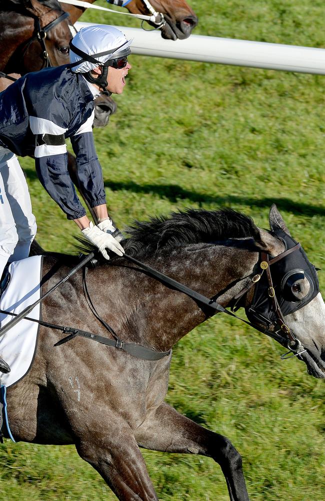 Top of his game: Nick Hall wins 2013 Caulfield Cup on Fawkner. Picture: Nicole Garmston