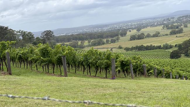 The Hunter Valley.