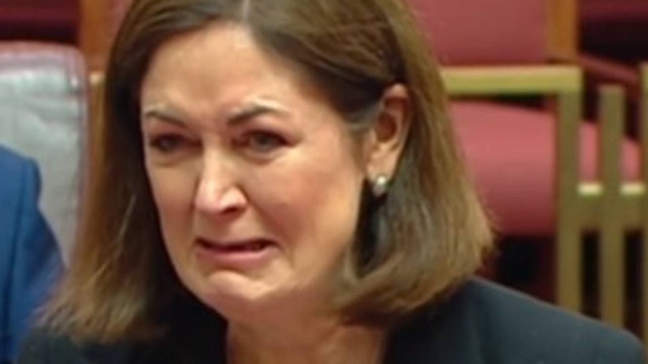 Liberal Senator Sarah Henderson Cries In Nazi Symbol Debate Geelong Advertiser