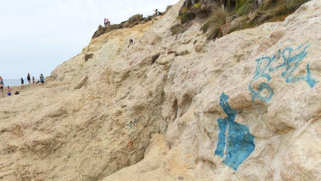 Rocks in the area have been graffitied. Picture: Jason Sammon