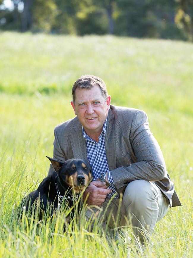 Incumbent Braddon MP Gavin Pearce. Picture: Jodie Coward