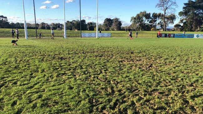 Herald Sun reporter James Mottershead tweeted this photo of Casey Fields on Saturday.