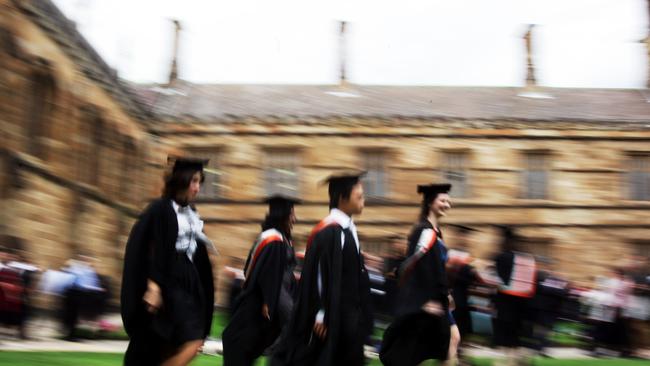 Shepherd said universities are giving people “false understandings” of the reality of the job market.