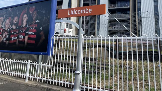 The woman was walking past Lidcombe train station when she was set upon.