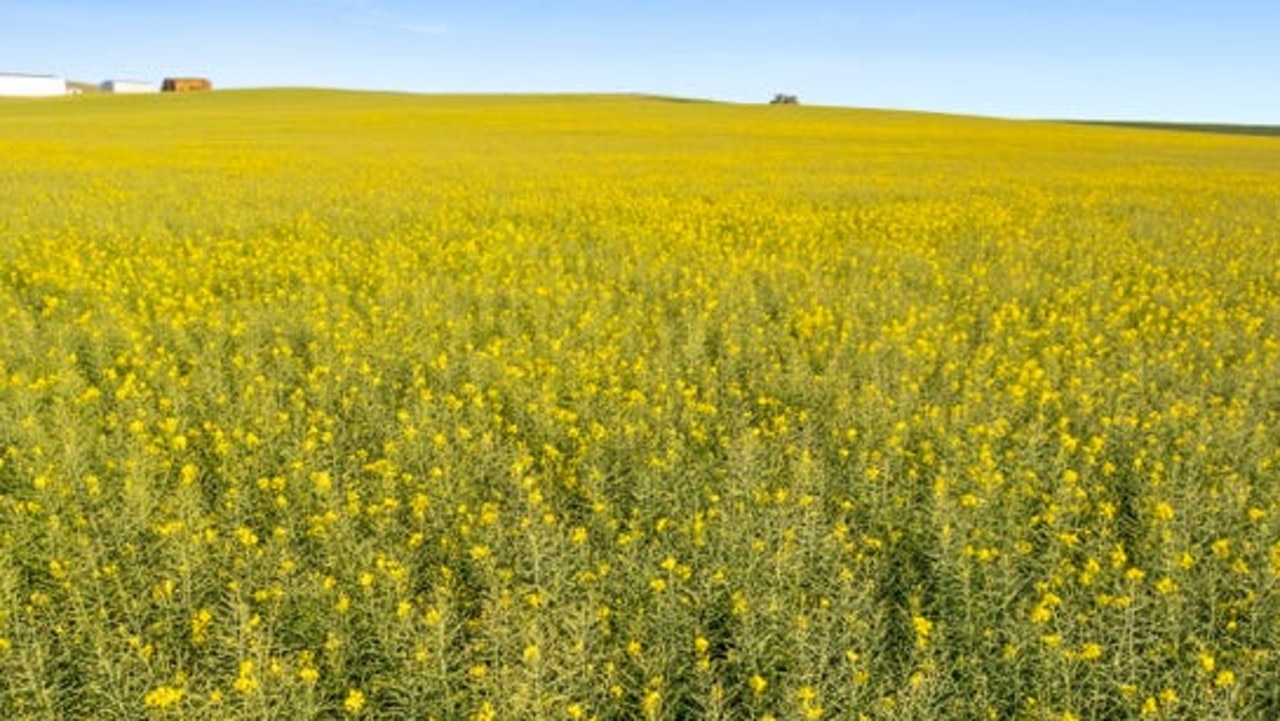 Jaeschke family set 2022 South Australian farm auction record with $12 ...