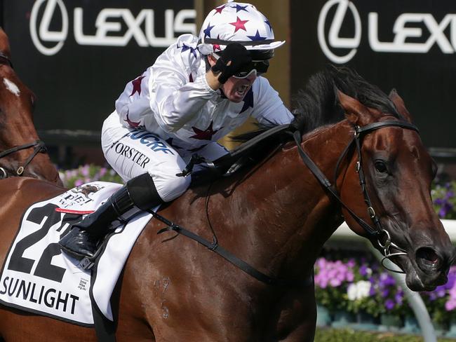 Jockey Barend Vorster savours his winning ride on Sunlight. Picture: AAP