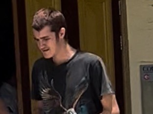 Bradley Alan Barton, 18, pleaded guilty to wilful damage and possessing a knife in a public place when he faced Maryborough Magistrates Court this week.