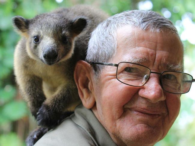 Bob Irwin with a tree kangaroo during a 2017 trip to Cairns/Atherton Tableland. Picture: courtesy Bob Irwin and Amanda French