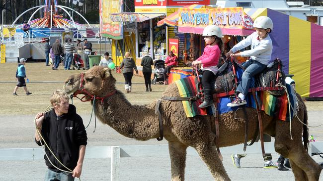 fairfield showground chinese new year