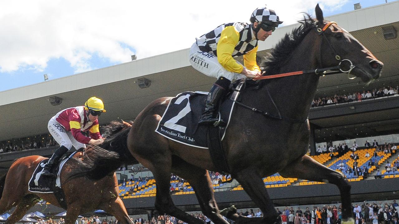 Sky Boy is on track for the Villiers Stakes at Randwick next month. Picture: AAP