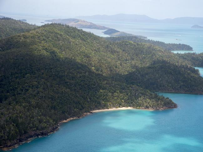 He was bitten in Cid Harbour, the site of three shark attacks. Picture: Daryl Wright