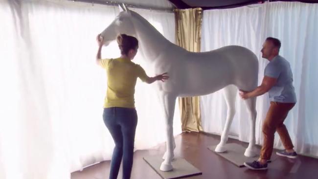 There’s a posh white horse.