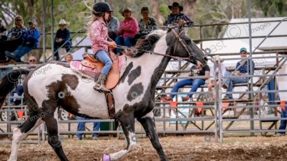 Cobie Holloway, 6, takes on the under 18s in barrel racing on her horse Rake. PHOTO: Supplied