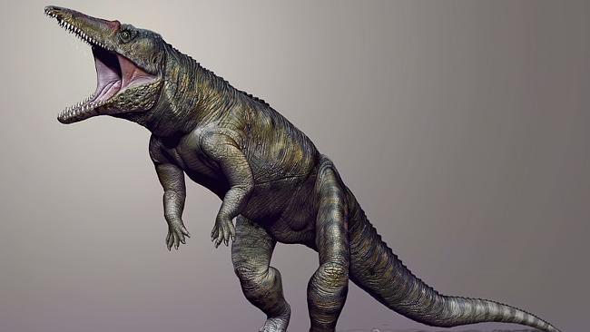 The terrifying reptile that predates dinosaurs 