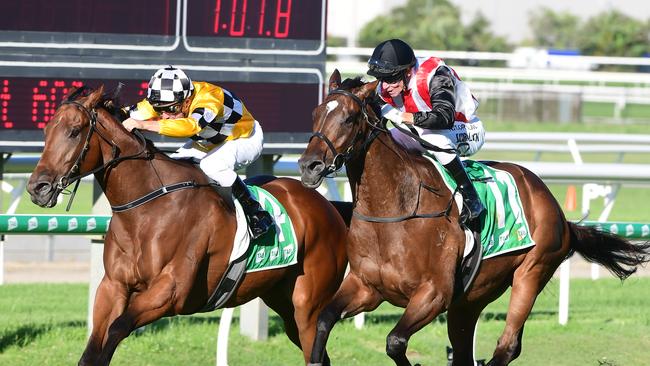 Stampe (right) finished a close second to Tambo's Mate in the Keith Noud Quality two starts back. Picture: Trackside Photography