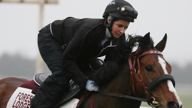 Back together: Michelle Payne with Melbourne Cup winner Prince of Penzance at Ballarat on Monday morning. Picture: Michael Klein