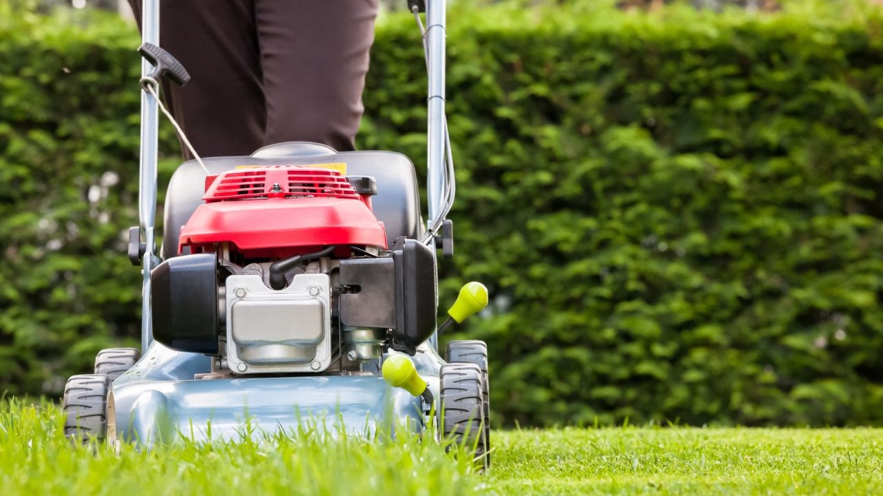The 5 Best Electric Lawn Mowers in 2023