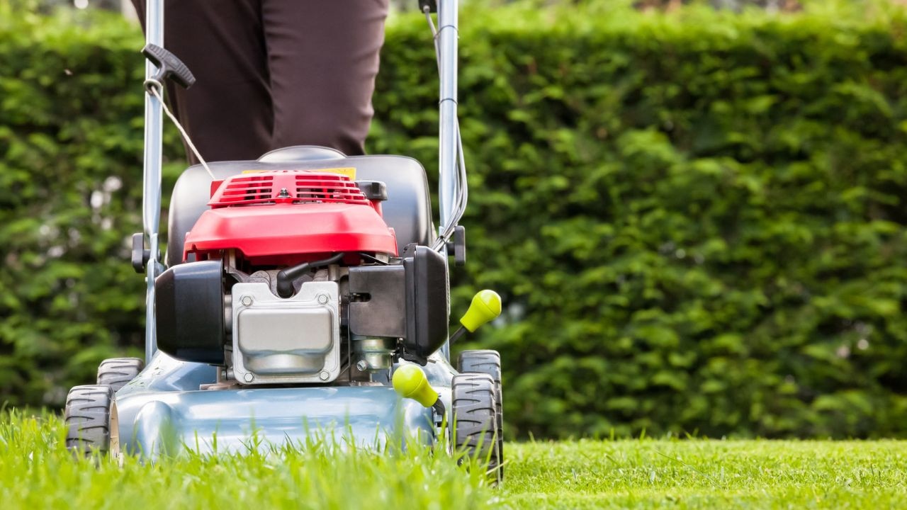 Black and Decker Test & Review - Cordless 36V Battery Lawn Mower 