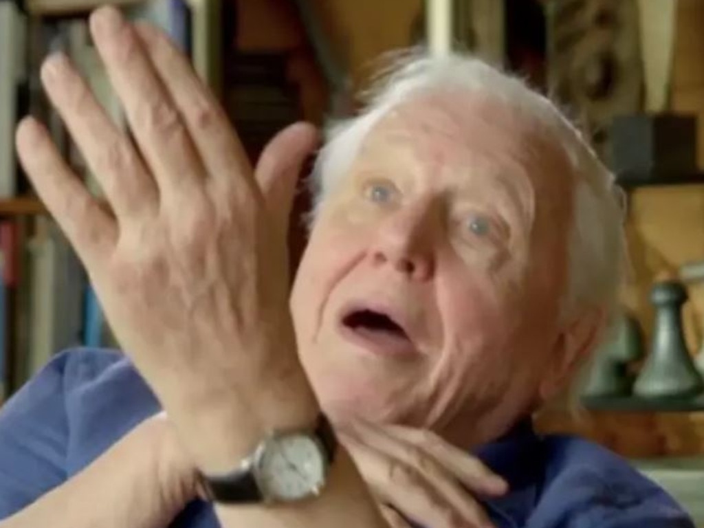 Sir David Attenborough reports on the incredible discovery in the upcoming BBC show. Picture: BBC