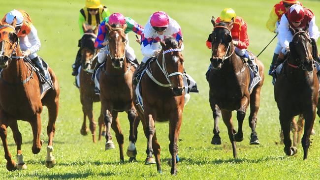 Famous Seamus (pink hat) ran well first-up and will be better suited today. Picture: Mark Evans 