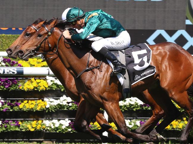 Breeders Plate winner Espionage makes his return to racing in the Group 2 Silver Slipper at Rosehill on Saturday. Picture: Grant Guy