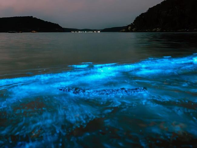 The bioluminescence was caused by a chemical reaction in marine organisms. Picture: Instagram/Jarvis Liu