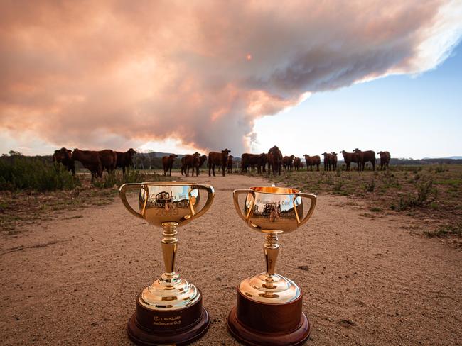 The 2019 Cup and the 1919 Cup meet in Grafton, NSW while a fire rages on.