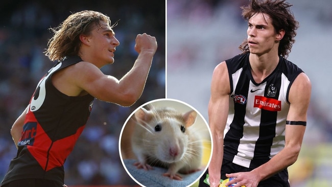 Young guns of the competition reveal all in a Christmas Q&A.