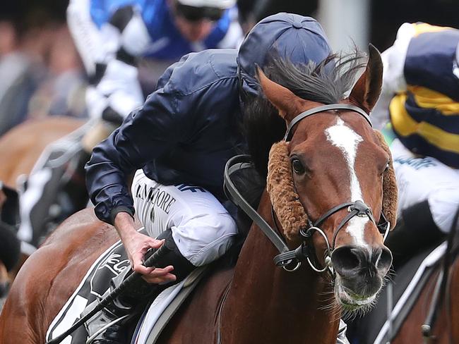 Cox Plate Race Day at Moonee Valley. 26/10/2019.   Race 7. The Moonee Valley Gold Cup over 2500 meters. Hunting Horn ridden by Ryan Moore (dark blue cap) wins race 7   . Pic: Micheal Klein