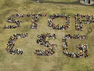 AGL halts Sydney coal seam gas expansion news .au