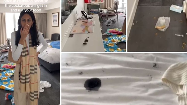 Cockatoos trashed a Hamilton Island hotel room. Photo: Elliemay16x