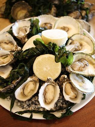 Coffin Bay oysters at Jolleys Boathouse.