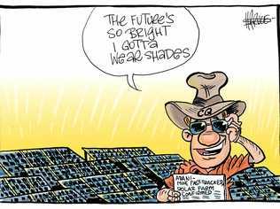 Harry Bruce cartoon adani solar farm. Picture: contributed