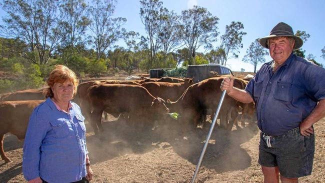 Carolyn Becker on her property at Ropeley. The Beckers have been forced to feed their cattle waste produce due to the severity of the drought. Picture: Dominic Elsome