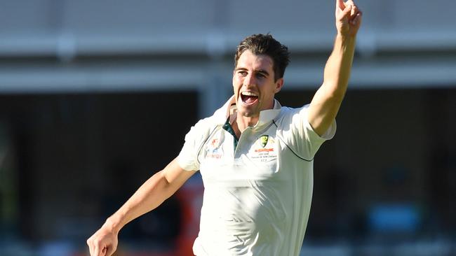 In Pat Cummins Australia have the world’s best bowler, but the quality beneath is plentiful.